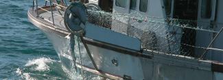Shark nets being hauled into fishing boat