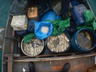 Buckets of sea cucumbers, a large bag of salt and fishing equipment